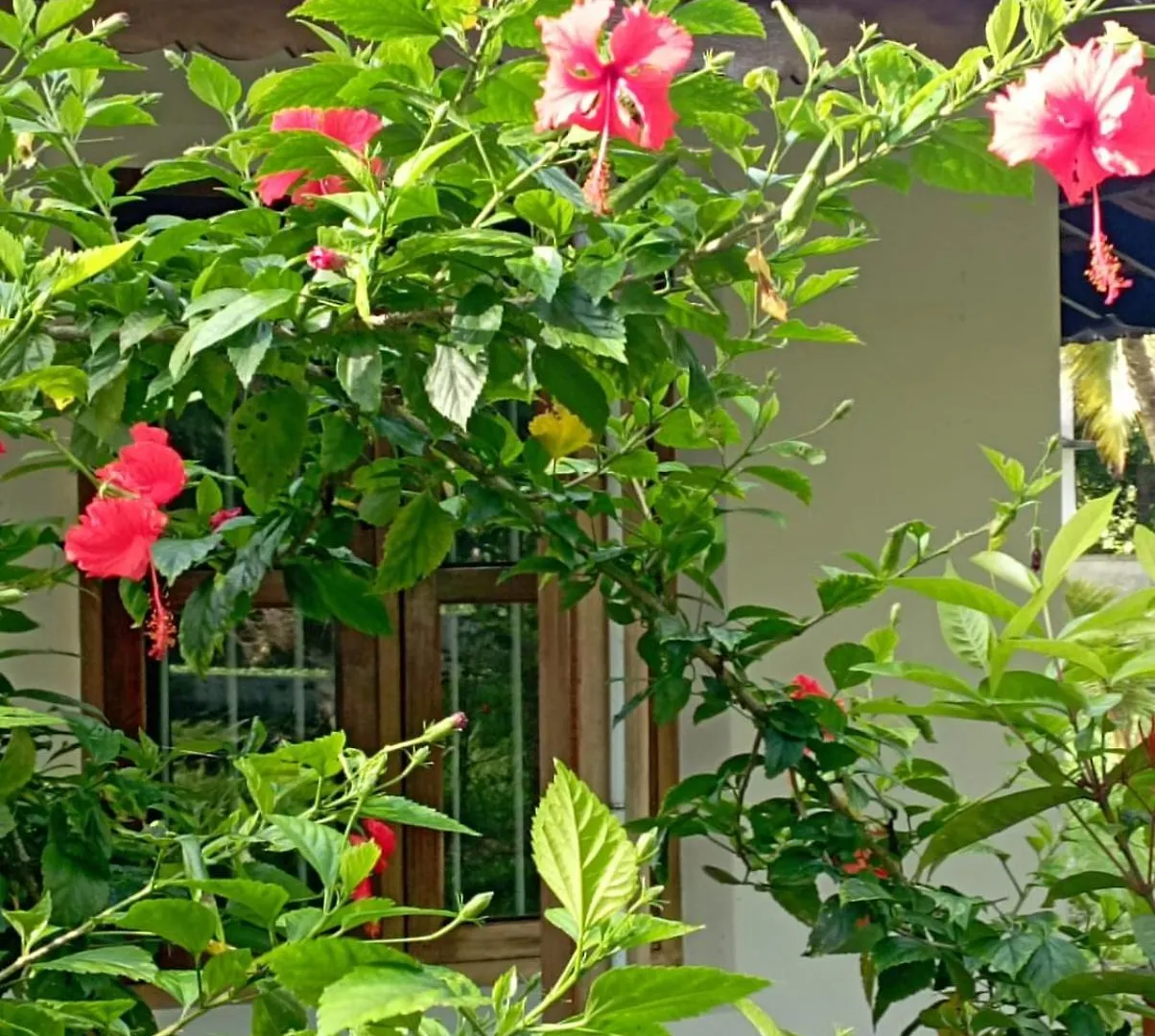 ** Bed & Breakfast Gramam Homestay, Cochin Kochi India